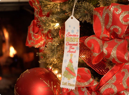 Santa Proof Evidence Kit